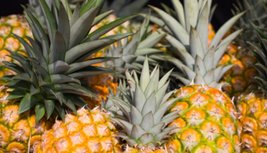 Qui est Auréol Sinclair Mbakop, le roi de l&rsquo;ananas camerounais?