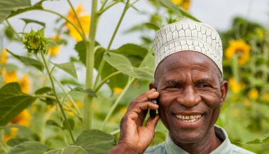 Niger: la télé-irrigation révolutionne l’agriculture et l’élevage