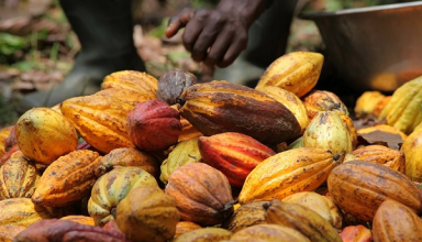 Cacao: le Ghana et la Côte d’Ivoire veulent maîtriser le marché mondial