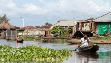 Au Bénin, des entrepreneurs transforment la jacinthe d’eau en dépolluant