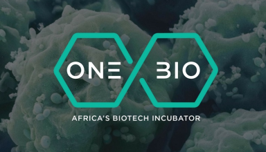 Afrique du Sud: l’incubateur ONEBIO va promouvoir la biotechnologie africaine