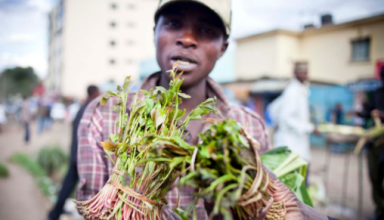 Somalie: la startup SAMS relie directement les agriculteurs aux acheteurs