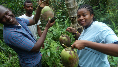 À 24 ans, Adowarim Lugu-zuri mise sur  la noix de coco au Ghana