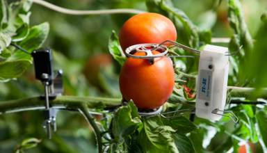 En Afrique, l&rsquo;écosystème agri-tech a évolué de 110% depuis 2016