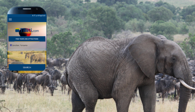 Tiketi, découvrir l’Afrique en quelques clics