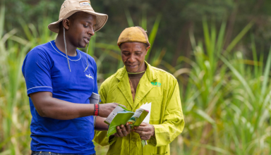 eMsika: la startup zambienne qui alimente l’Afrique en intrants agricoles