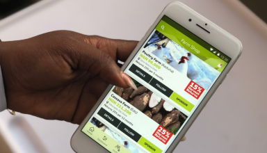 Au Ghana, la startup Complete Farmer veut assurer la sécurité alimentaire du pays